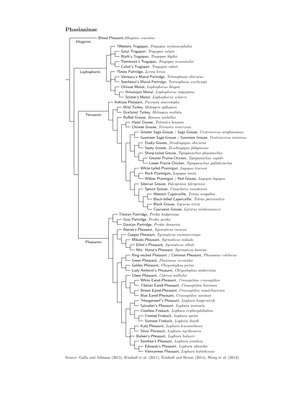 Phasianinae Species Tree