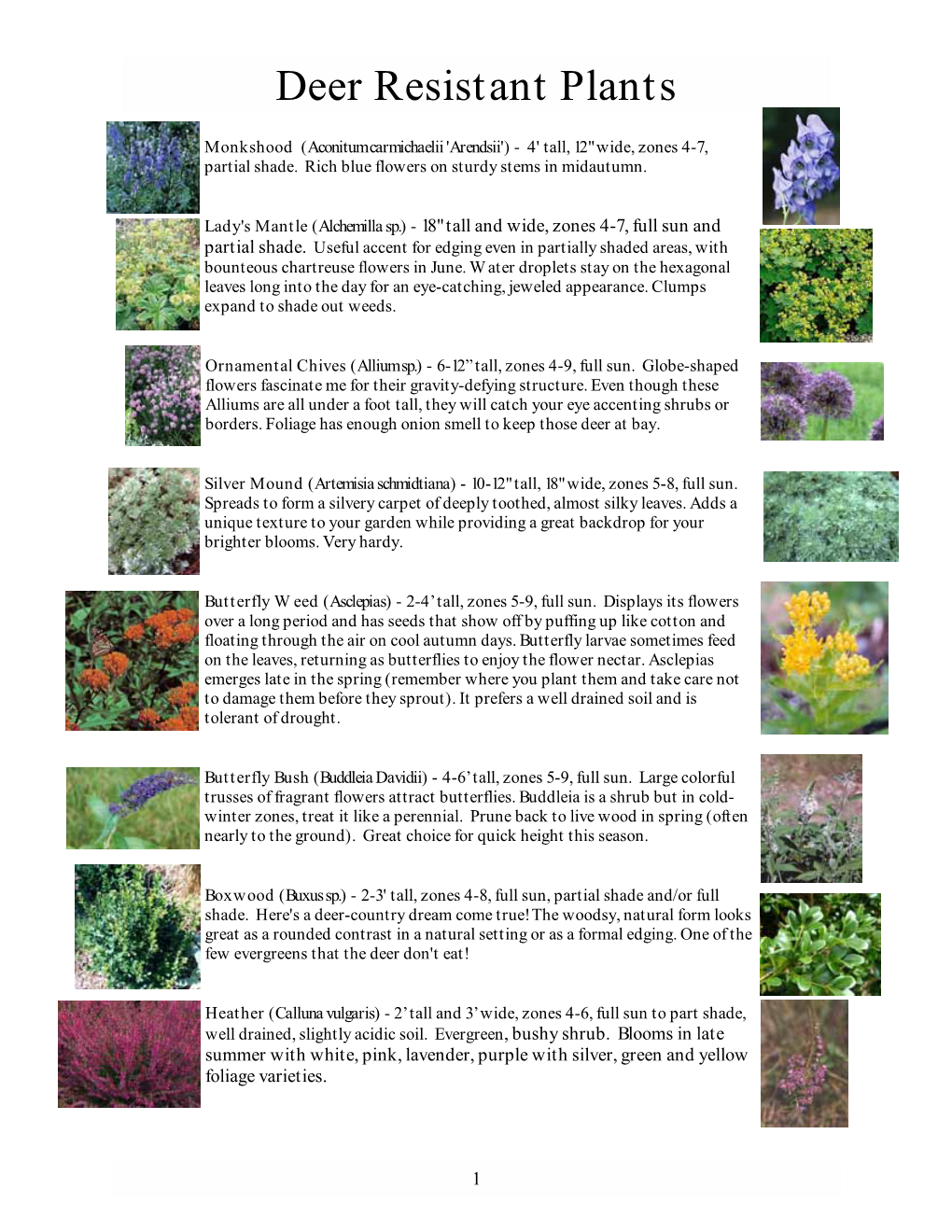 Deer Resistant Plants