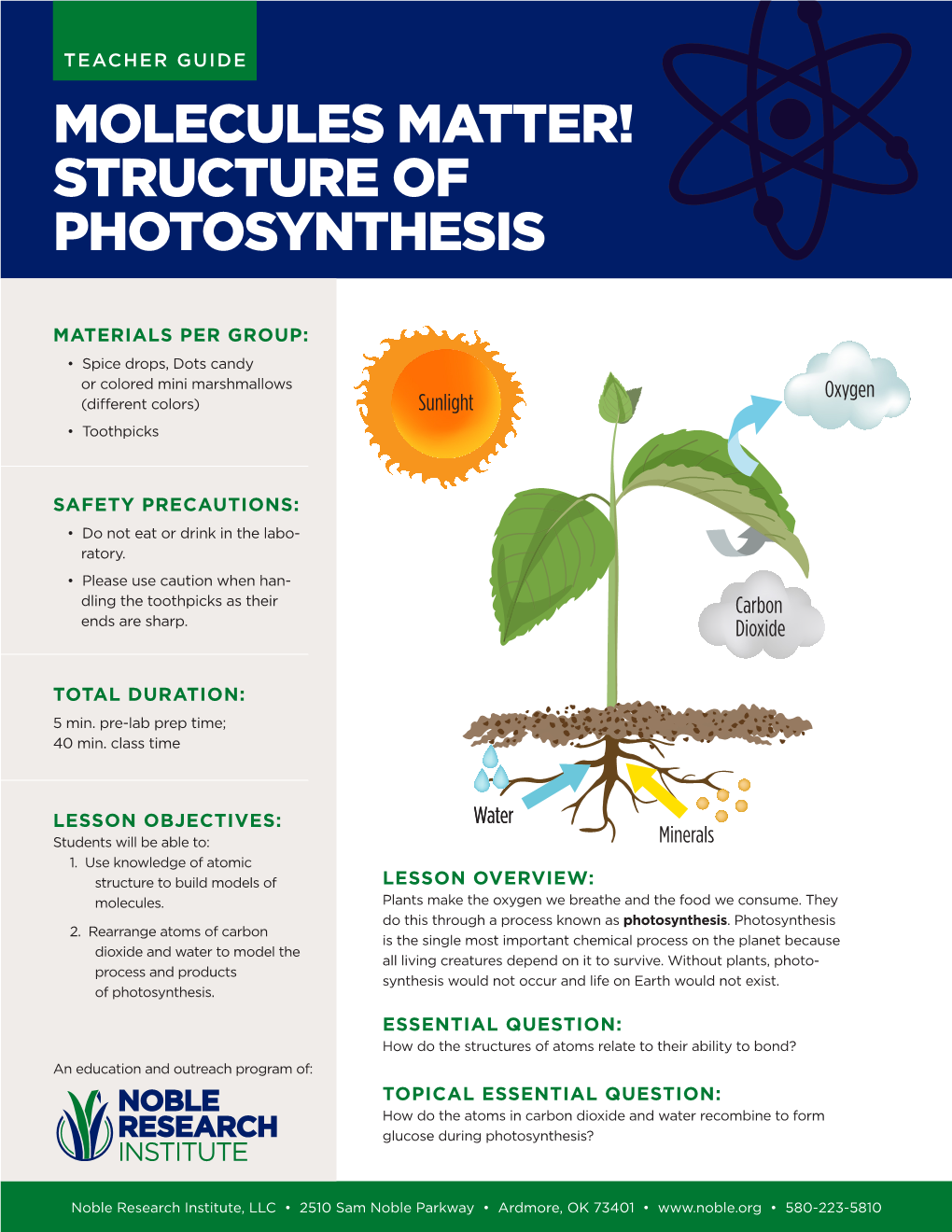 Molecules Matter! Structure of Photosynthesis