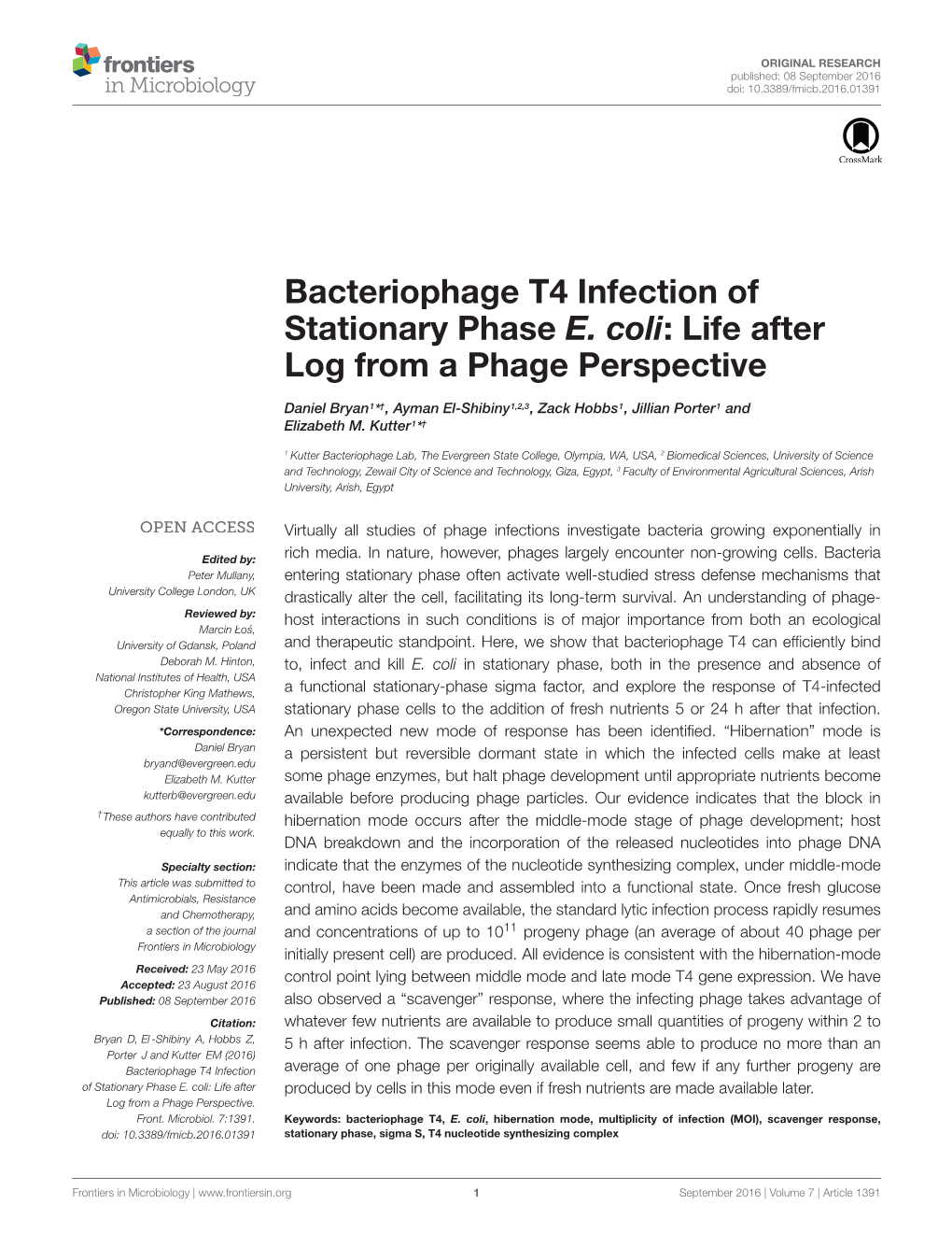 Bacteriophage T4 Infection of Stationary Phase E. Coli: Life After Log from a Phage Perspective