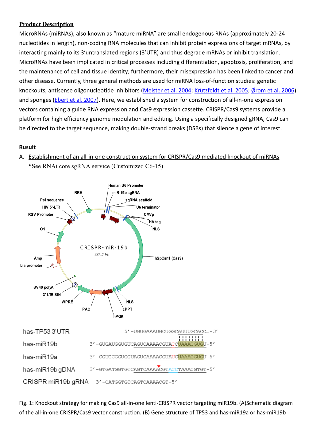 Product Description Micrornas (Mirnas), Also Known As “Mature