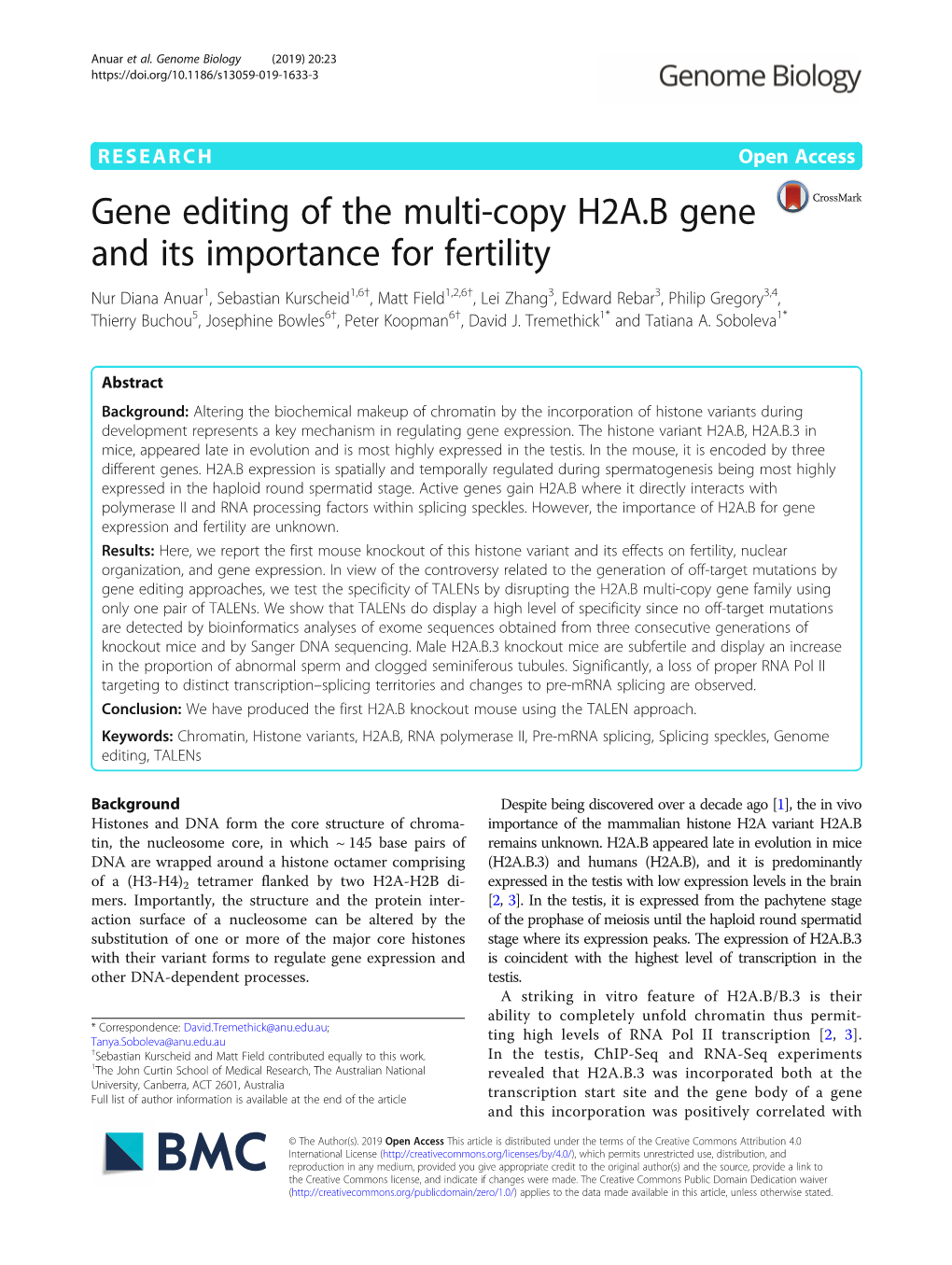 Gene Editing of the Multi-Copy H2A.B Gene and Its Importance for Fertility