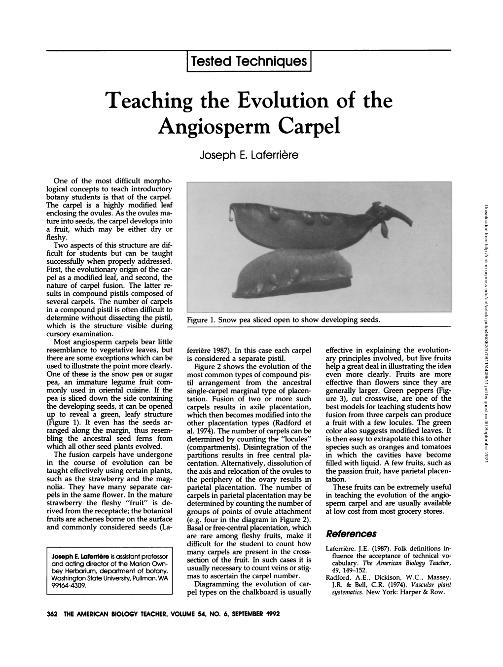 Teaching the Evolution of the Angiosperm Carpel