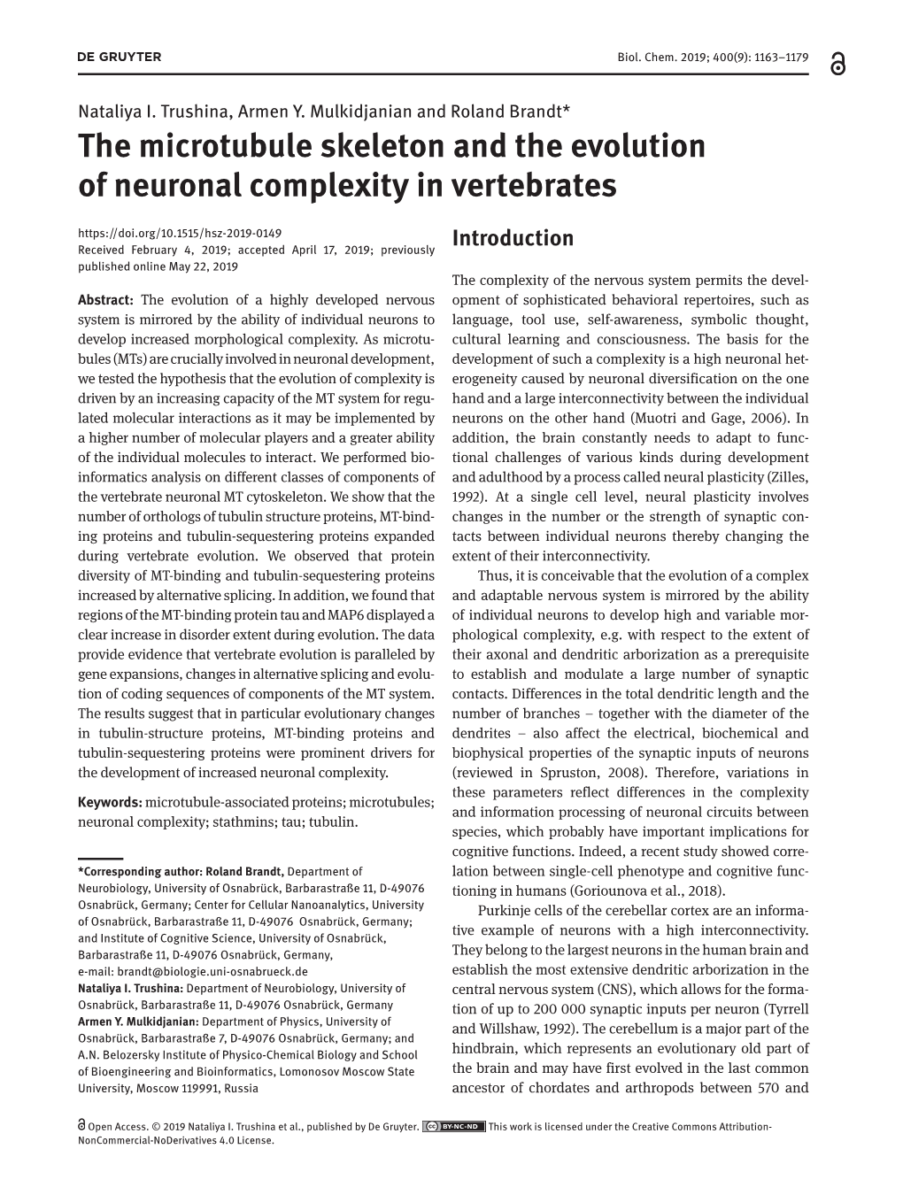 The Microtubule Skeleton and the Evolution of Neuronal Complexity in Vertebrates