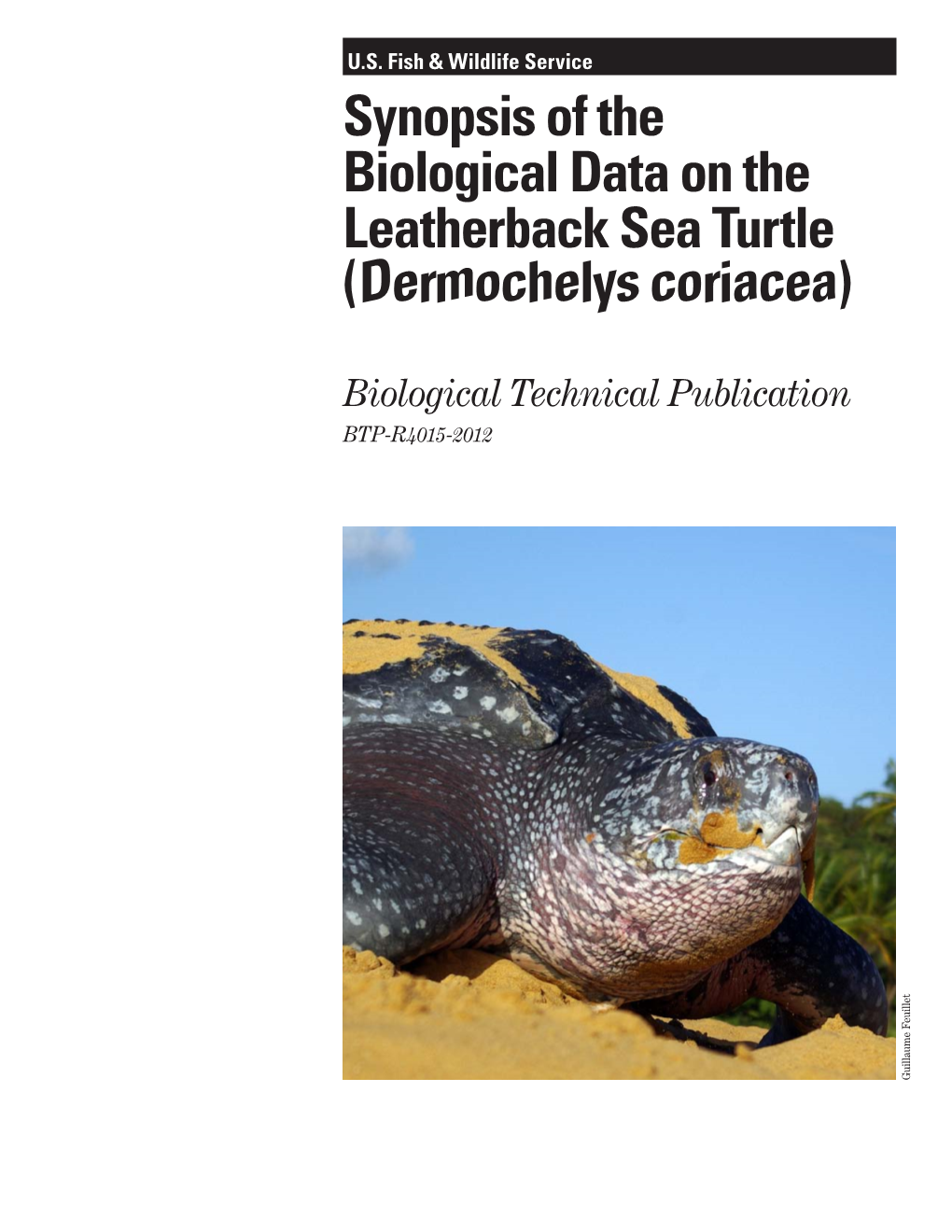 Synopsis of the Biological Data on the Leatherback Sea Turtle (Dermochelys Coriacea)