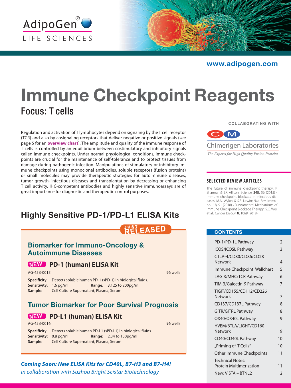 Immune Checkpoint Reagents Brochure