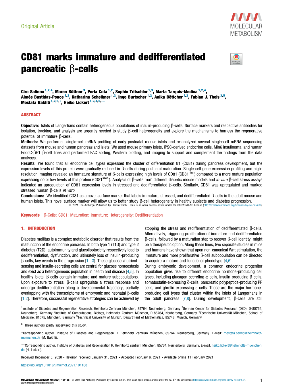 CD81 Marks Immature and Dedifferentiated Pancreatic &Beta