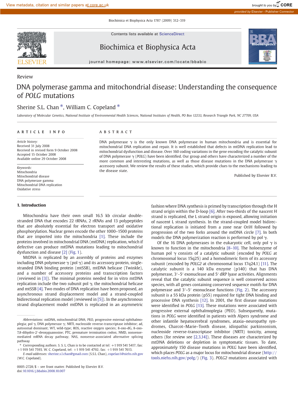 DNA Polymerase Gamma and Mitochondrial Disease: Understanding the Consequence of POLG Mutations