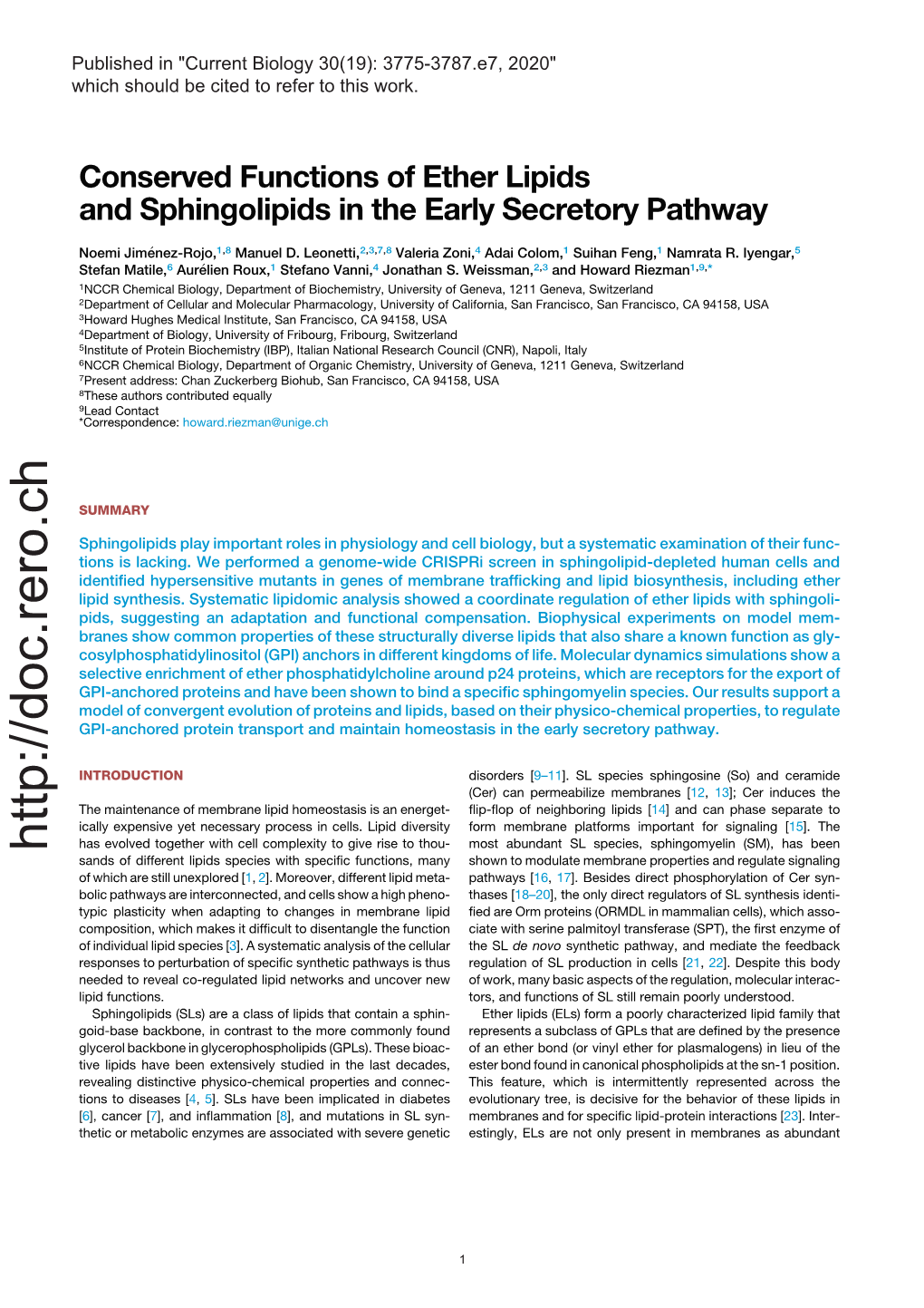 Conserved Functions of Ether Lipids and Sphingolipids in the Early Secretory Pathway