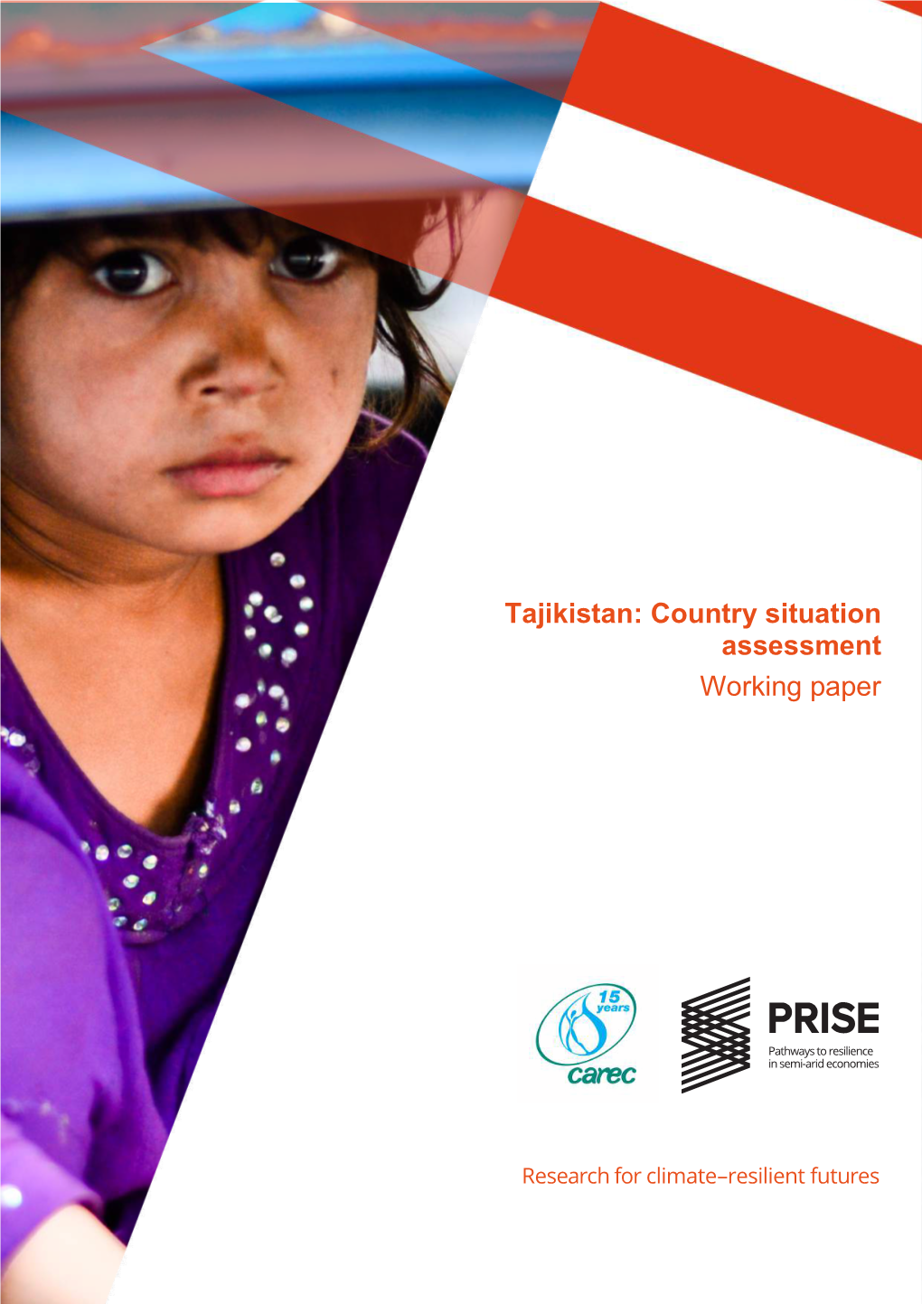 Tajikistan: Country Situation Assessment Working Paper