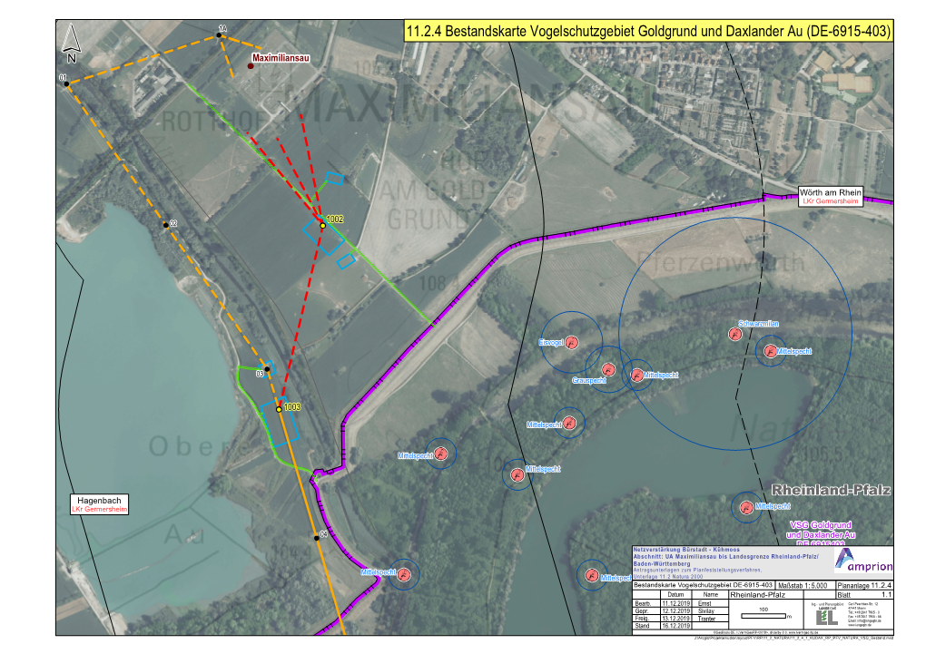 11.2.4 Bestandskarte Vogelschutzgebiet Goldgrund Und Daxlander Au (DE-6915-403)