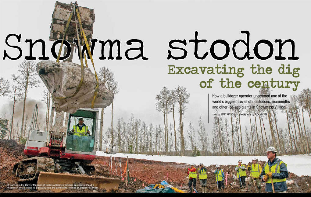 Snowmastodon: Excavating the Dig of the Century