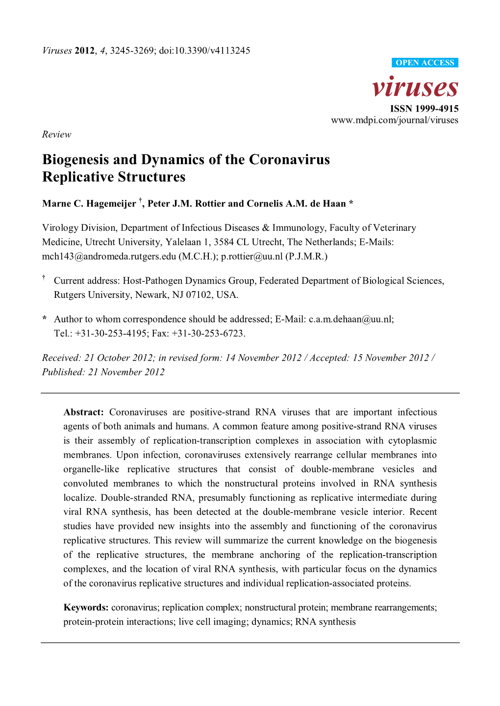 Biogenesis and Dynamics of the Coronavirus Replicative Structures