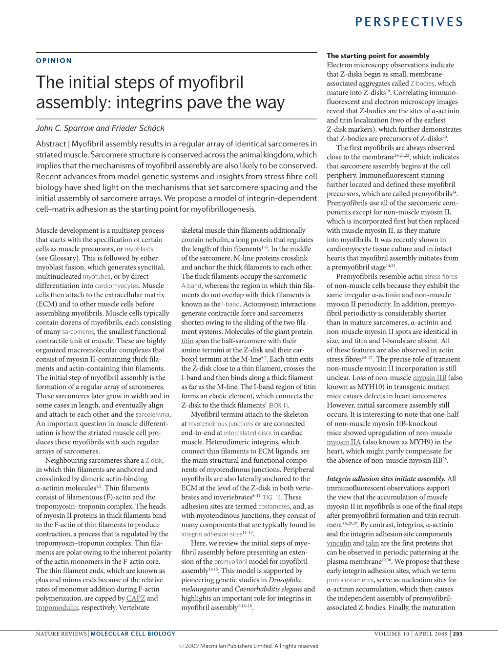 The Initial Steps of Myofibril Assembly: Integrins Pave The