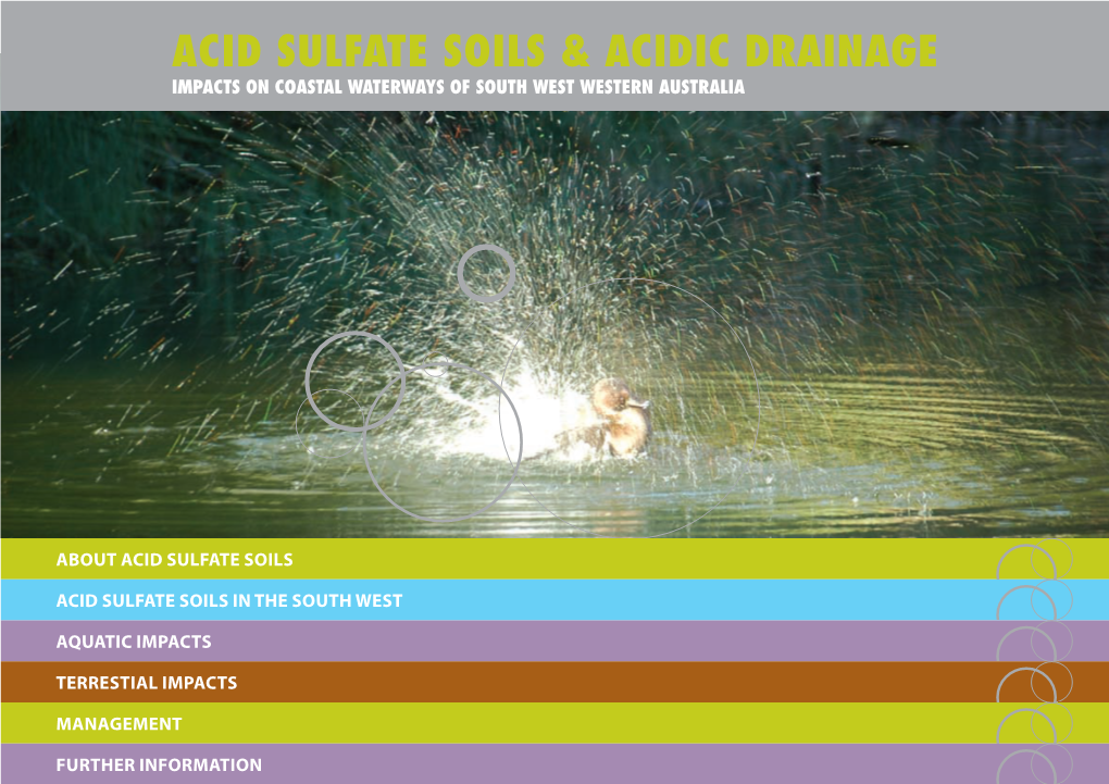 Acid Sulfate Soils & Acidic Drainage