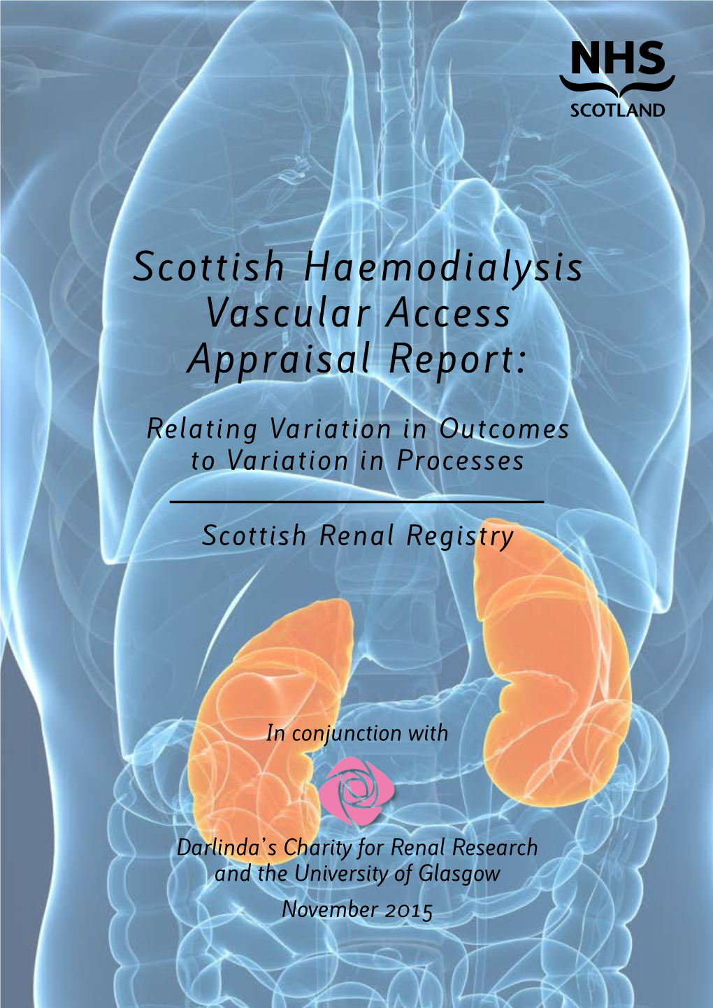 Scottish Haemodialysis Vascular Access Appraisal Report