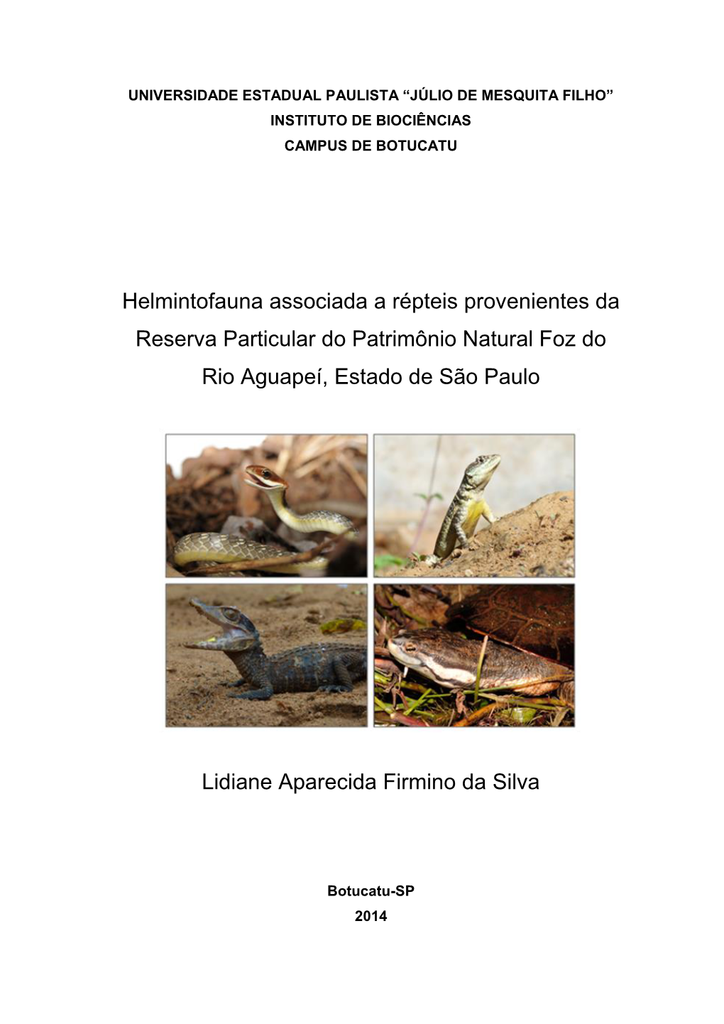 Helmintofauna Associada a Répteis Provenientes Da Reserva Particular Do Patrimônio Natural Foz Do Rio Aguapeí, Estado De São Paulo