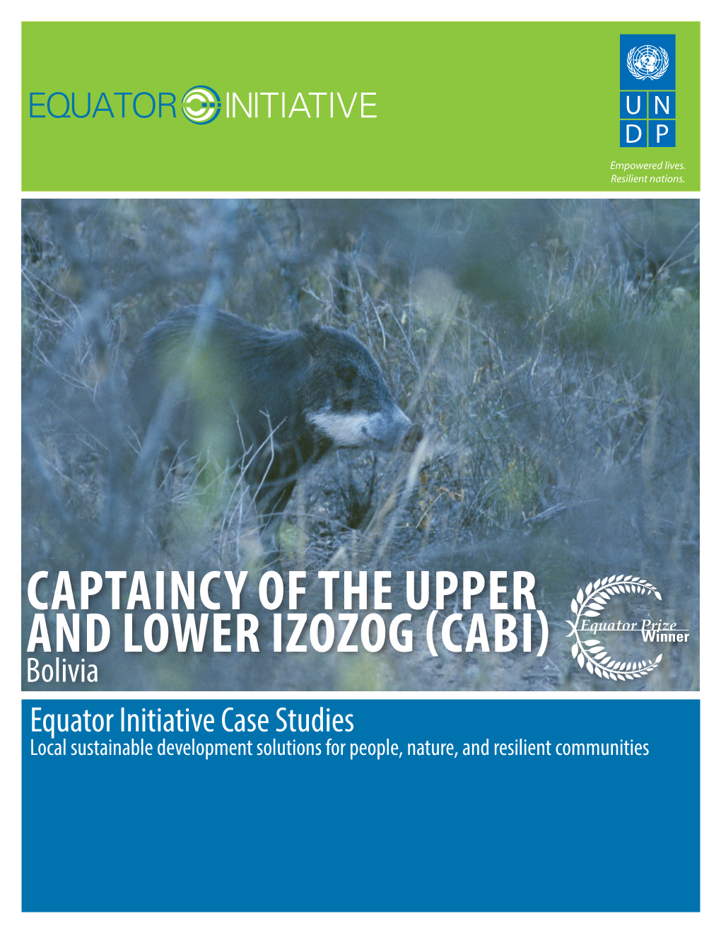 Captaincy of the Upper and Lower Izozog (Cabi)