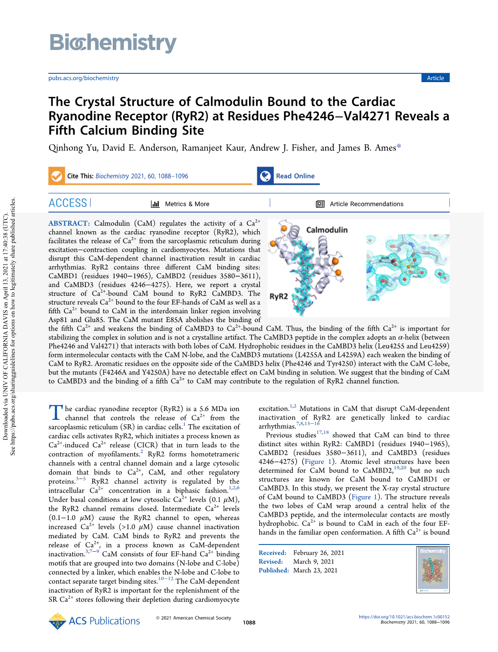 The Crystal Structure of Calmodulin Bound to The