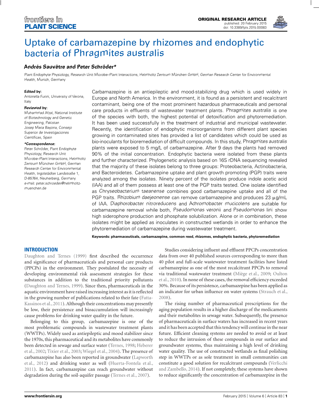 Uptake of Carbamazepine by Rhizomes and Endophytic Bacteria of Phragmites Australis