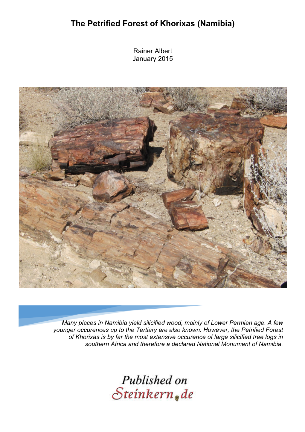 The Petrified Forest of Khorixas (Namibia)