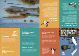 Download the Bird Wise Leaflet