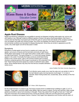 Apple Rust Disease Apples and Flowering Crabapples Are Susceptible to Several Rust Diseases Including Cedar-Apple Rust, Quince Rust, and Hawthorn Rust