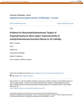 Evidence for Nonacetylcholinesterase Targets of Organophosphorus Nerve Agent: Supersensitivity of Acetylcholinesterase Knockout Mouse to VX Lethality