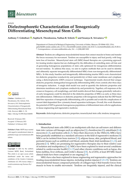 Dielectrophoretic Characterization of Tenogenically Differentiating Mesenchymal Stem Cells