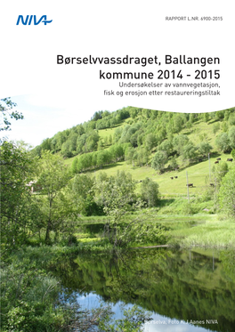 Ballangen Kommune 2014 - 2015 Undersøkelser Av Vannvegetasjon, Fisk Og Erosjon Etter Restaureringstiltak