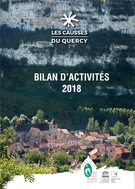 Bilan D'activités 2018