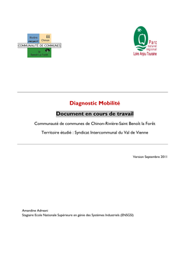 Diagnostic Mobilité Document En Cours De Travail
