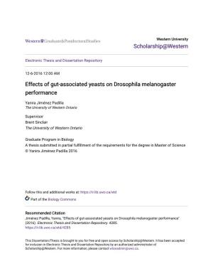 Effects of Gut-Associated Yeasts on Drosophila Melanogaster Performance