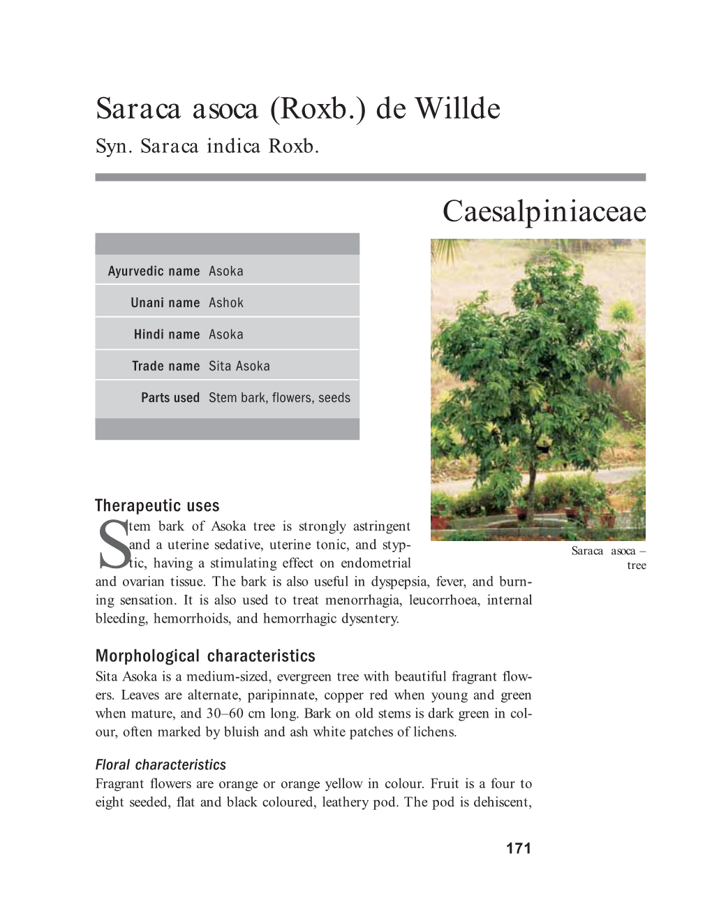 Saraca Asoca (Roxb.) De Willde