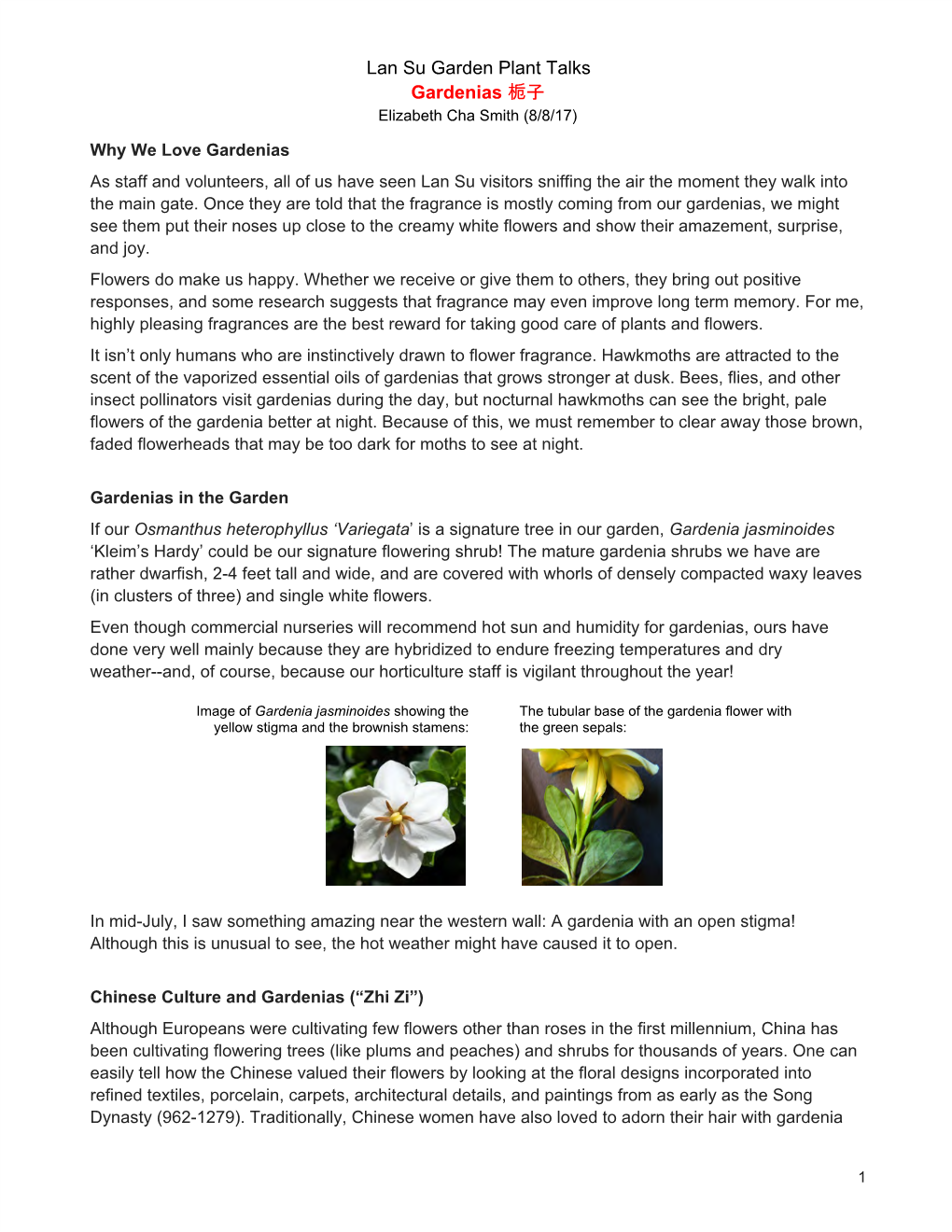 Lan Su Garden Plant Talks Gardenias​