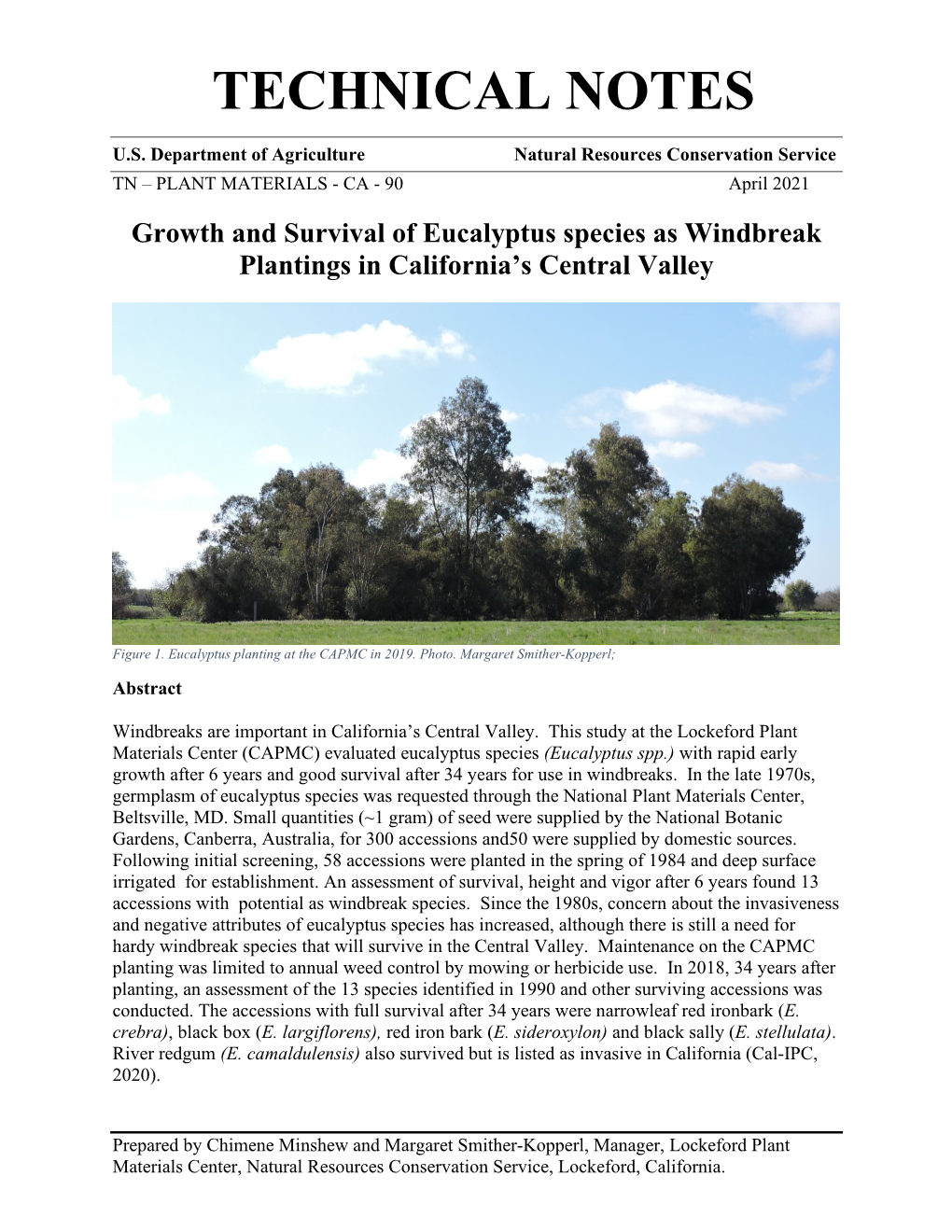 Growth and Survival of Eucalyptus Species As Windbreak Plantings in California's Central Valley