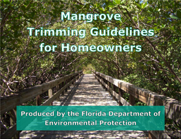 Mangrove Trimming Guidelines for Homeowners 3
