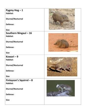 Pygmy Hog – 1 Southern Ningaul – 16 Kowari – 9 Finlayson's Squirrel
