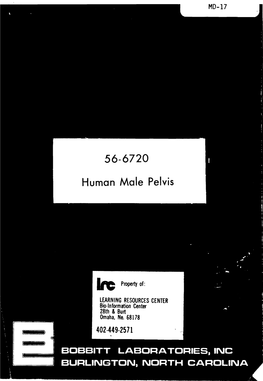Pdf Manual (964.7Kb)