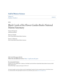 Black Corals of the Flower Garden Banks National Marine Sanctuary Dennis M