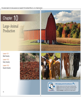 Large-Animal Production Chapter 10