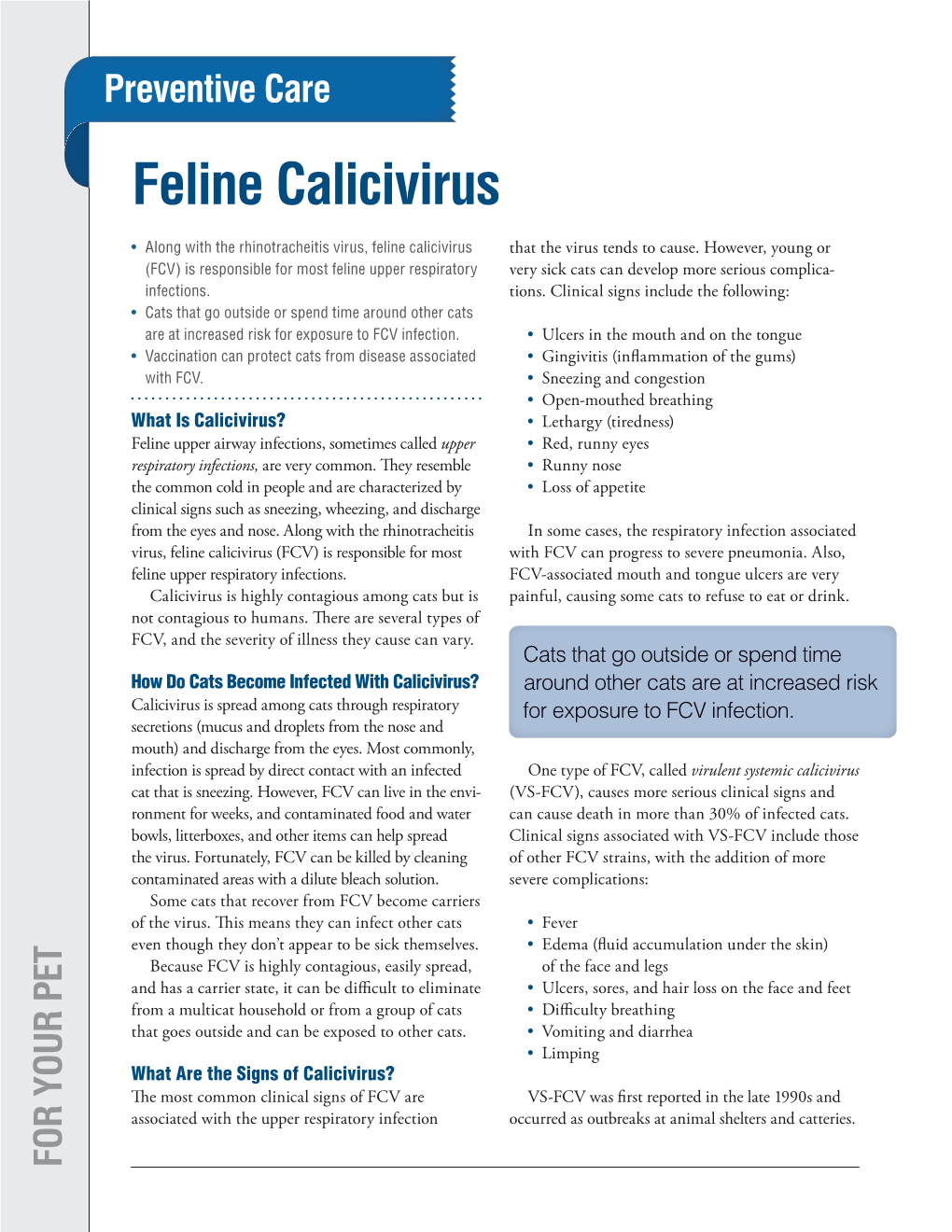 Feline Calicivirus (FCV) Is Responsible for Most from the Eyes and Nose