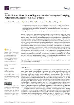 Evaluation of Floxuridine Oligonucleotide Conjugates Carrying Potential Enhancers of Cellular Uptake