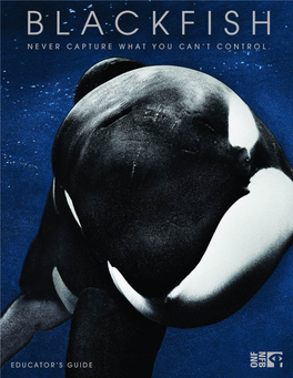 Blackfish Never Capture What You Can’T Control