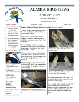 Alaska Bird News