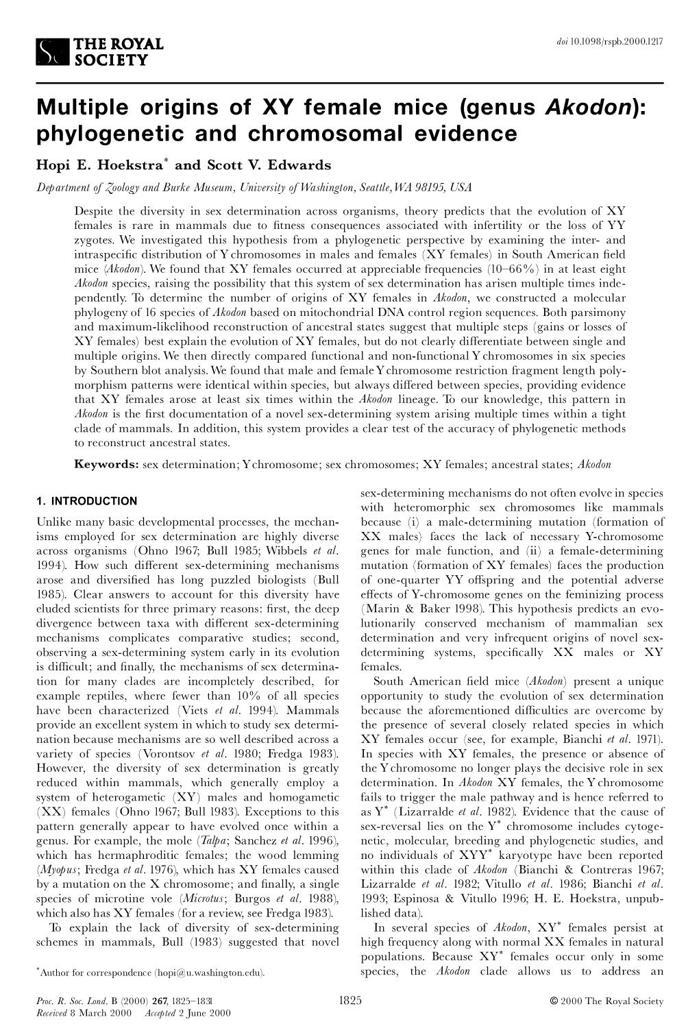 Multiple Origins of XY Female Mice (Genus Akodon): Phylogenetic And