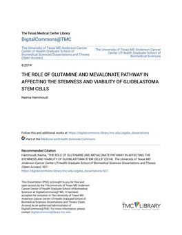 The Role of Glutamine and Mevalonate Pathway in Affecting the Stemness and Viability of Glioblastoma Stem Cells
