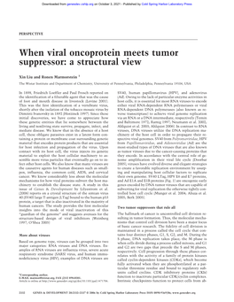 When Viral Oncoprotein Meets Tumor Suppressor: a Structural View