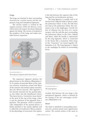 32 Chapter 2 / the Thoracic Cavity