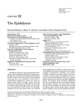 The Epididymis